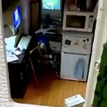 Ironizan con especial y “ratonil” departamento en Nueva York: “Lindo y acogedor”