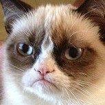 El recordado “Grumpy Cat” ya tiene una heredera y es aún más gruñona: Conoce a Meowmeow