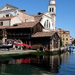 El efecto Coronavirus dejó increíbles imágenes de Venecia: Agua cristalina y vuelven los delfines