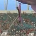 Este gato casi perdió una de sus nueve vidas: Video muestra heroico acto que lo salvó en un estadio