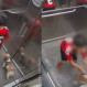 Video: Niño salvó a su perro tras atascarse en la puerta del ascensor