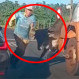Video: Conductora en shock al ver un toro intentar saltar sobre su auto