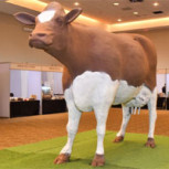 Trágico fin de la vaca de chocolate más grande del mundo se viralizó en internet: Mira el momento