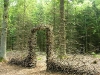 Foto: Cornelia Konrads