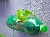 Foto: Rosenbaum