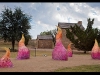Foto: Ashton Thornhill