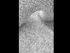 Foto: Tony Cragg 