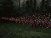 Foto:  Thomas Jackson