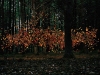 Foto:  Thomas Jackson