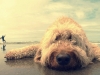 Foto: Julie Akers