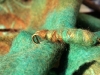 Foto: Expolana