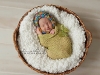 Foto: TinyToppers