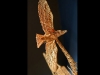 Foto: Scott Weaver