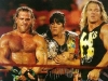 Degeneration X