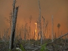 Foto: US FishAndWildlifeServiceNortheatsRegion