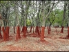 Foto: Internet - Bosque tras el accidente en una planta de aluminio en Hungría.