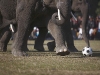Foto: Reuters