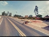 Foto: Google - Una vaca  herida al borde de un camino.
