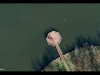 Foto: Google - El falso asesinato que dio la vuelta al mundo. Finalmente no tenía nada que ver con lo que se creyó fue un brutal asesinato.
