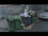 Foto: Google - \
