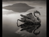 Foto: Nick Brandt