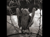 Foto: Nick Brandt