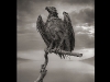 Foto: Nick Brandt