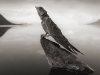 Foto: Nick Brandt