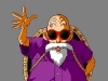 Maestro Roshi - Foto: Redribonz