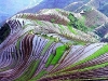 Foto: China - Twitter