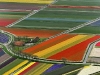Foto: Holanda - Twitter
