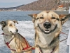 Foto: Internet