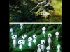 Imagen: niaenbitacora.blogspot.com
