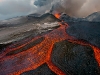 Foto: Wildlife Photographer of the Year 2013 